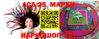 индика Анжеро-Судженск