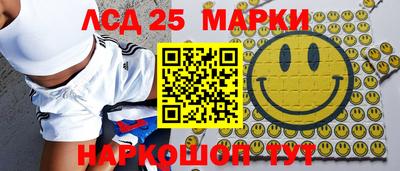 индика Анжеро-Судженск