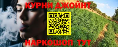 индика Анжеро-Судженск