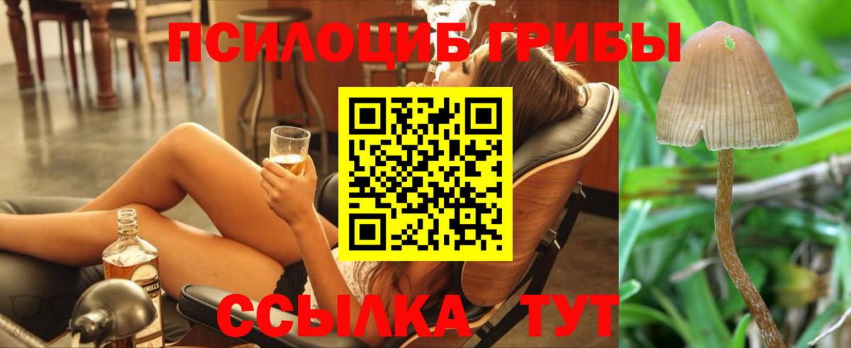 Псилоцибиновые грибы прущие грибы  Вход с VPN  Амурск 